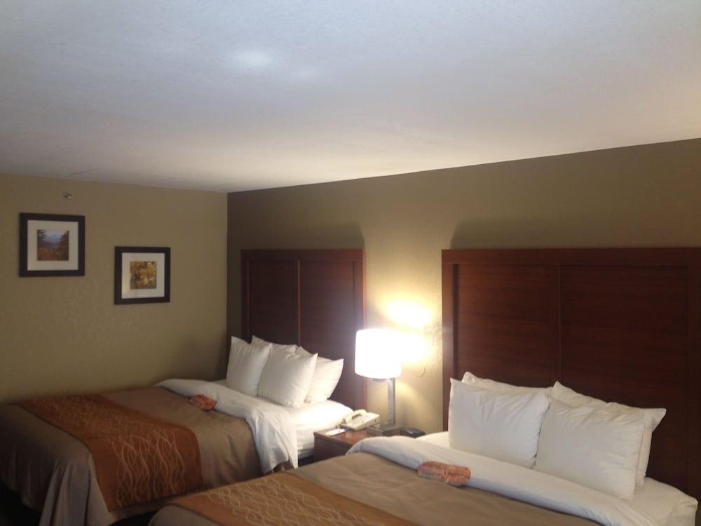 Comfort Inn Biltmore West Asheville Esterno foto